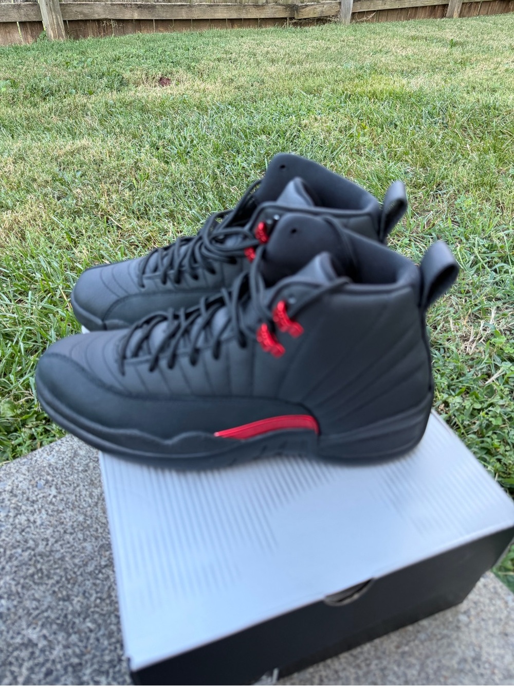 Jordan 12 Bloodline